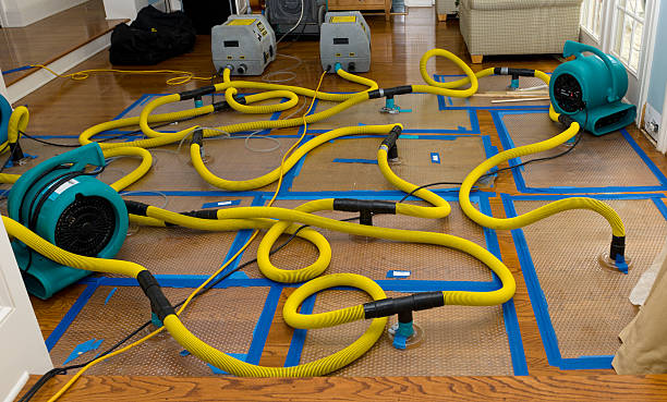 Professional Flood Damage Restoration technician working in Springfield, PA
